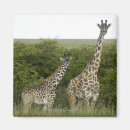 Pesquisar por olhando imas Natureza