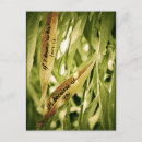 Pesquisar por alma gémea cartoes postais Eu te amo