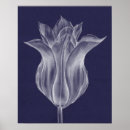 Pesquisar por tulipas pôsteres Gráfico