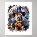 Pesquisar por shar pei pôsteres Animal