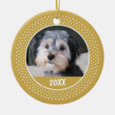 Pesquisar por do natal do miúdo Cão