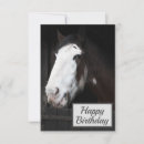 Pesquisar por cavalo feliz cartoes Equestre