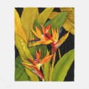 Pesquisar por pássaro de paraíso Floral