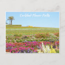 Pesquisar por flower postais postais cartoes postais Natureza