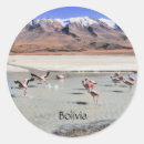 Pesquisar por bolívia adesivos América do sul