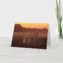 Pesquisar por cavalo árabe cartoes Nascente