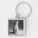 Pesquisar por imagens dos gatos chaveiros Gatinho