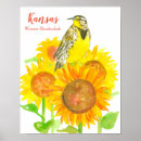 Pesquisar por kansas pôsteres Girassol