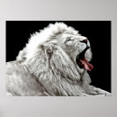 Pesquisar por leão abstrato pôsteres Vida selvagem