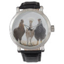 Pesquisar por galinha relogios Fotografia