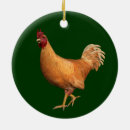 Pesquisar por galos ornamentos Pássaro