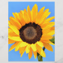 Pesquisar por girassóis papel timbrado Flores