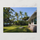 Pesquisar por árvores de coco cartoes postais Hawaii