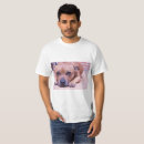 Pesquisar por staffy Cão
