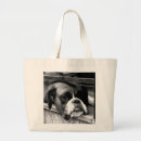 Pesquisar por de boxer bolsas Canino