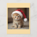 Pesquisar por gatinho papai noel cartoes postais Inverno