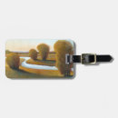 Pesquisar por paisagens bagagem tags Campo