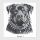 Pesquisar por spike adesivos Cão