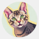 Pesquisar por rex adesivos Fofofo