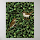 Pesquisar por oliveiras pôsteres Folhagem