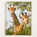 Pesquisar por girafas agendas Fotos de animais