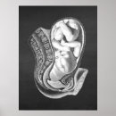 Pesquisar por gravidez pósteres pôsteres For her