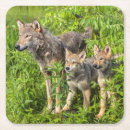 Pesquisar por lobo cinzento porta copos Canis lupus