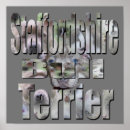 Pesquisar por bull terrier pósteres pôsteres Animal