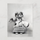 Pesquisar por couture cartoes postais Vintage