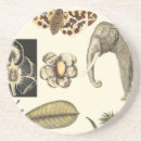 Pesquisar por animal porta copos Natureza