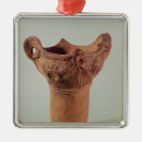 Pesquisar por vaso ornamentos Pote