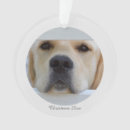 Pesquisar por acrílico ornamentos De natal