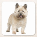 Pesquisar por dog porta copos Cachorrinho