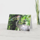 Pesquisar por crane cartoes Vida selvagem