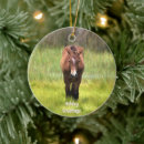 Pesquisar por decoração de cavalo ornamentos Animais