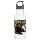 Pesquisar por labrador garrafa agua Retriever