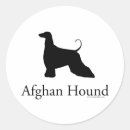 Pesquisar por galgo adesivos Afegão