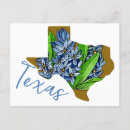 Pesquisar por texas cartoes cartoes postais Flor