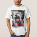 Pesquisar por schnauzer mini roupas Filhote de cachorro