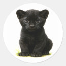 Pesquisar por panteras pretas adesivos Qualquer pessoa
