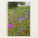 Pesquisar por natureza paisagem agendas Beleza