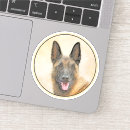 Pesquisar por malinois adesivos Cão