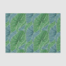 Pesquisar por floresta tropical papeis de seda Folhas