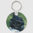 Pesquisar por gorila chaveiros Jardim zoológico