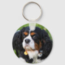 Pesquisar por tricolor chaveiros Animal