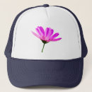 Pesquisar por flores margarida bones Bonito