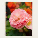 Pesquisar por organizador pósteres pôsteres Aniversário