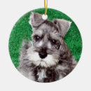 Pesquisar por schnauzer ornamentos Animal de estimação