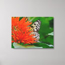 Pesquisar por arte mexicana impressão de canvas Flor