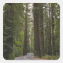 Pesquisar por estrada adesivos Paisagem